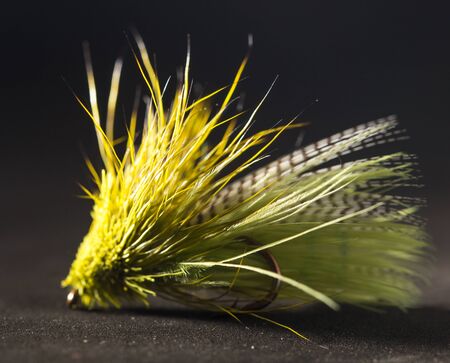 fly for fishingの写真素材