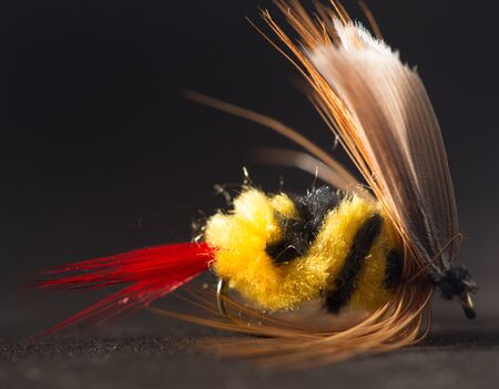 fly for fishing