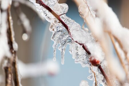 ice on the natureの写真素材