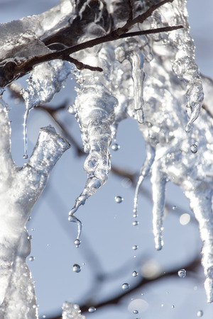 ice on the natureの写真素材