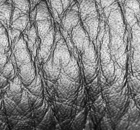 background black leatherの写真素材