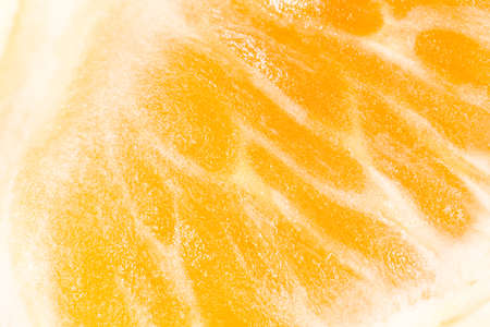 orange as a background. super macroの写真素材