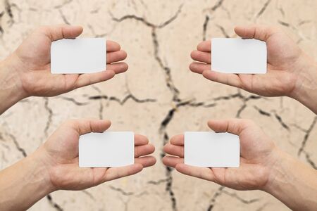 white card in handの写真素材