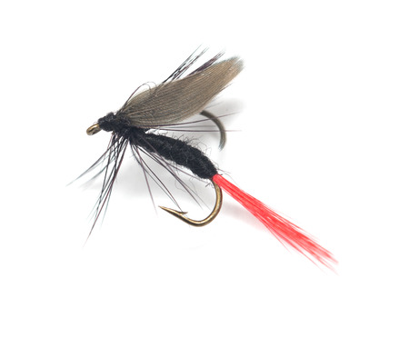fly for fishing on white background