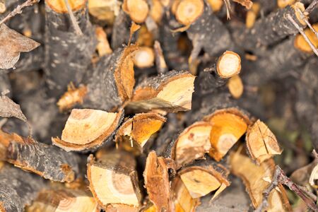 Firewood texture, after the sawing wood