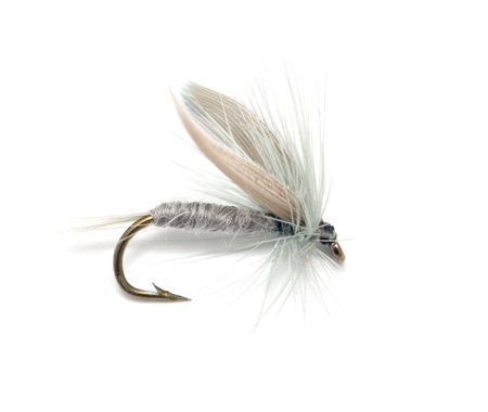 fly for fishing on white backgroundの写真素材