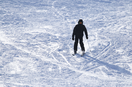 skier skiingの写真素材