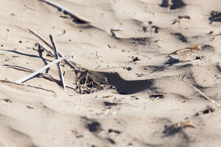 background of sandの写真素材