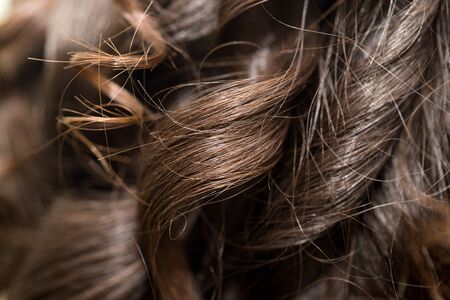 background of hairの写真素材