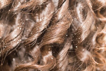 background of hairの写真素材