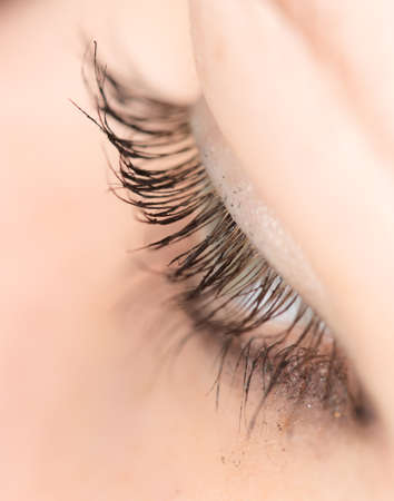 Closeup view of eye lashes
