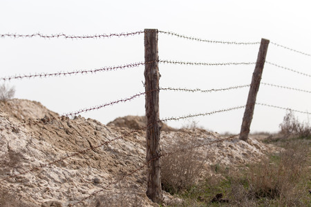 barbed wire on natureの写真素材