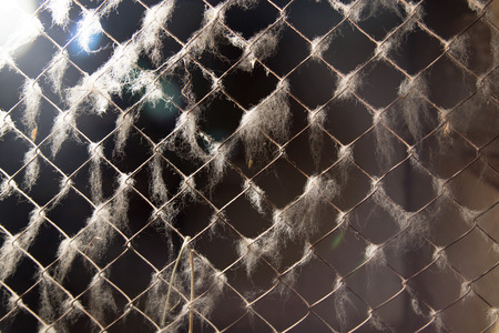 background of old rusty metal meshの写真素材