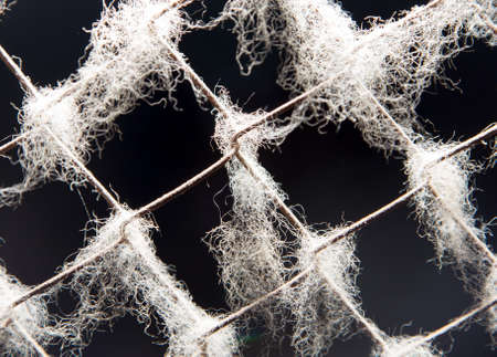 background of old rusty metal meshの写真素材