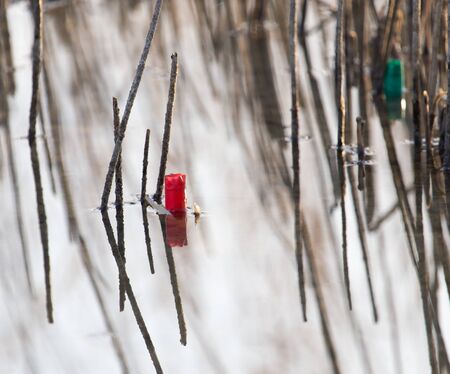 cartridge in the water on the lake on the hunt for natureの写真素材