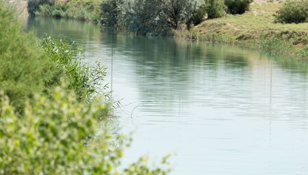 river overgrownの写真素材