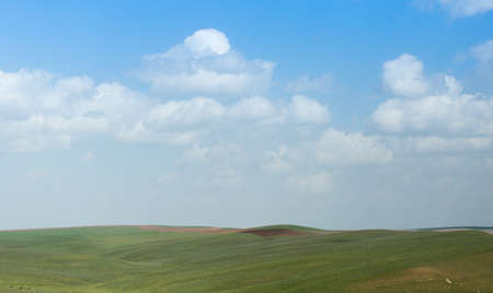 Spring in the steppes of Kazakhstanの写真素材