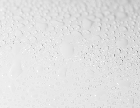water drops on a white background. close-upの写真素材