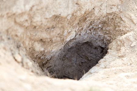 hole on the nature of the beastの写真素材