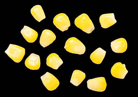 corn on a black background. close-upの写真素材