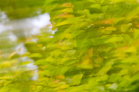 Nature in motionの写真素材