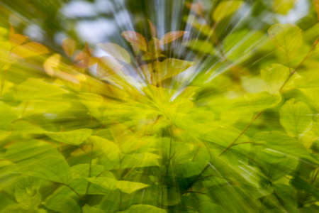 Nature in motionの写真素材