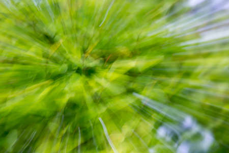 Nature in motionの写真素材