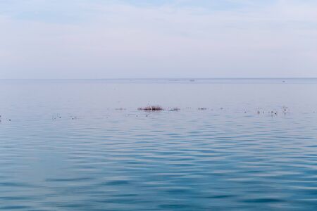 The surface of the water