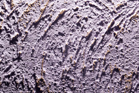 Purple decorative plasterの写真素材