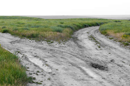dirt road in nature