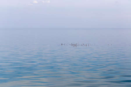 Background of the surface of the waterの写真素材