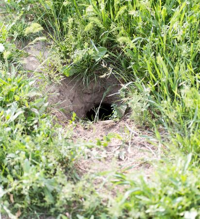 Hole in the groundの写真素材