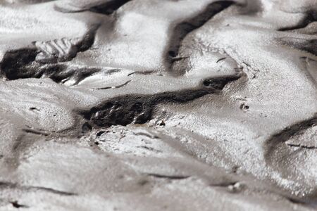background of sand on the beach at natureの写真素材