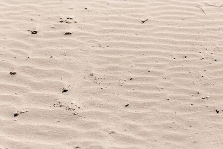 background of sand in natureの写真素材