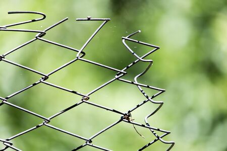 Rusty metal grille fence macro and nature background