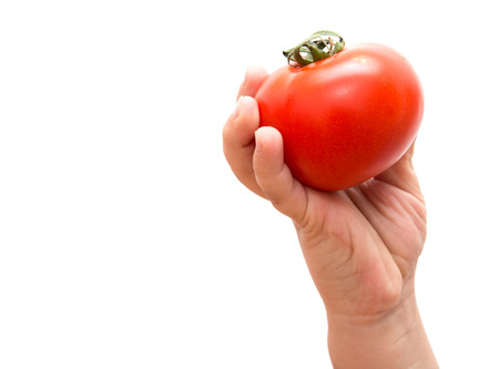 tomato in hand on a white backgroundの写真素材