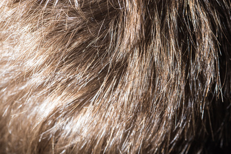 background Hairの写真素材