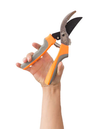 secateurs in hand on a white backgroundの写真素材