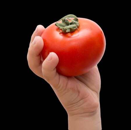 tomato in hand on a black backgroundの写真素材