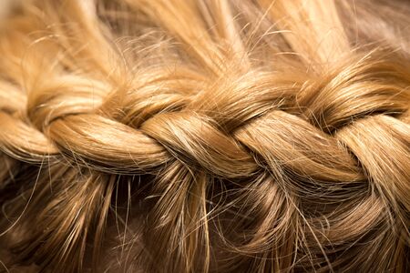 Braided pigtails in the beauty salonの写真素材