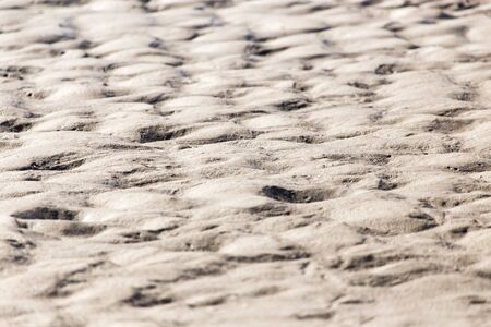 background of sand on the shore