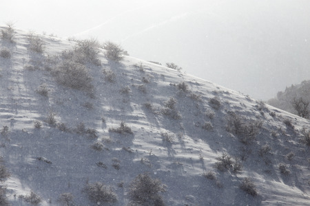 snowy slopes of the Tien Shan Mountainsの写真素材