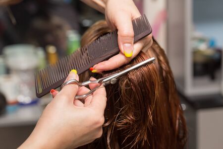 Female hair cutting scissors in a beauty salonの写真素材