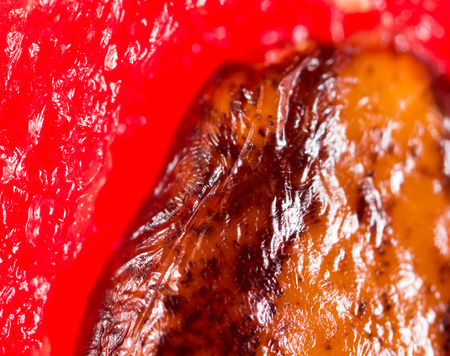 watermelon seeds. Super Macroの写真素材