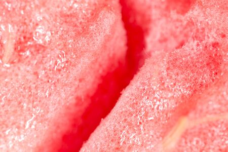 the flesh of watermelon. Super Macroの写真素材