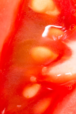 Close up slice of juicy red tomatoの写真素材