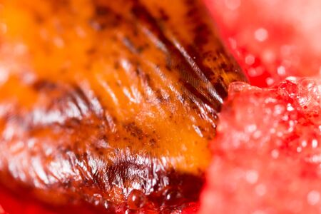 watermelon seeds. Super Macroの写真素材