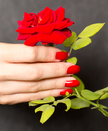 red manicure and red roseの写真素材