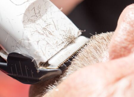 mustache haircut at the beauty salonの写真素材