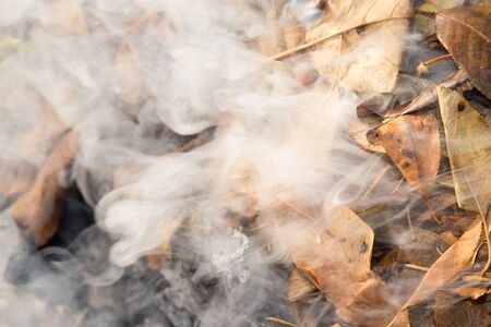 smoke from burning leavesの写真素材